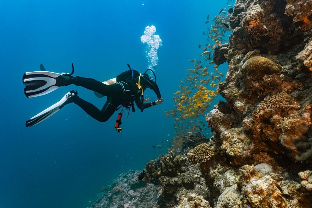 Buceo Yoga y Arte Motril
