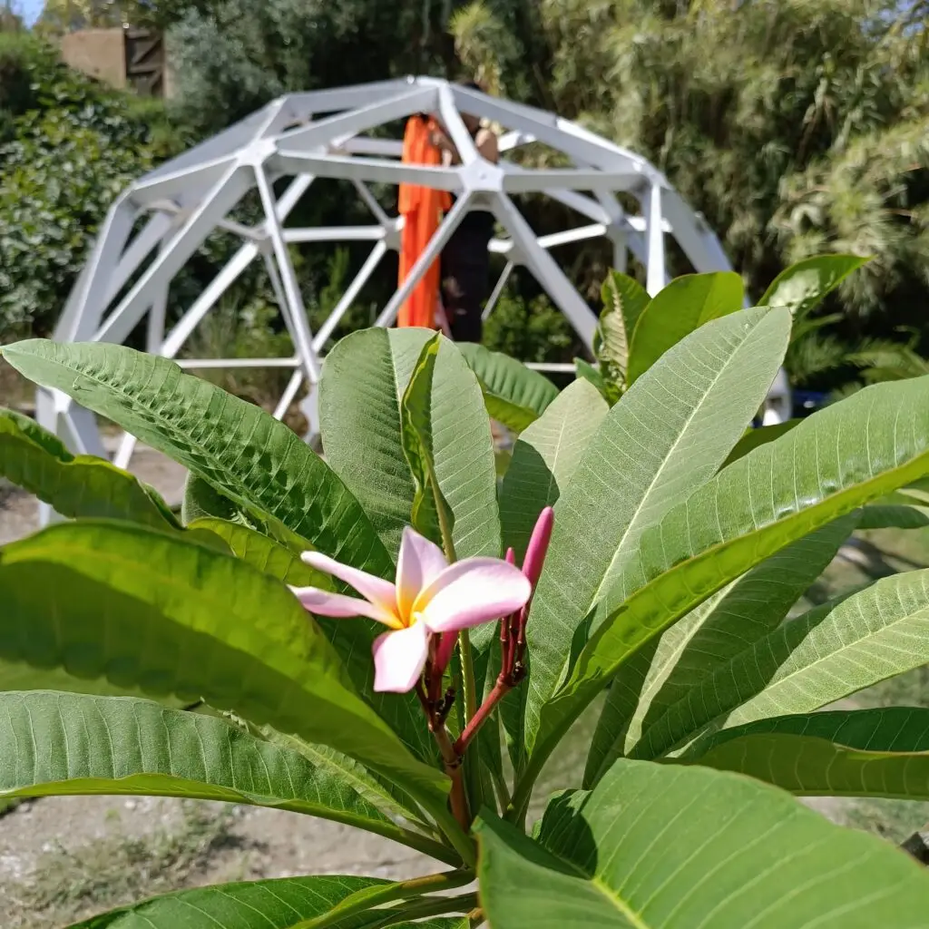Jardín Yoga y Arte Motril, Costa Tropical Andalucía